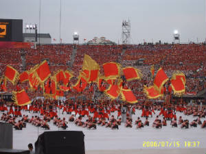 suc55185.jpg